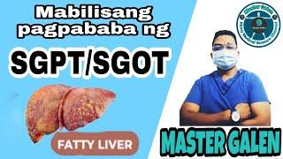 MABILISANG PARAAN PARA MAPABABA ANG SGPT AT SGOT