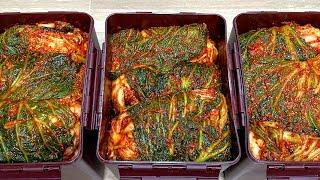 김장김치에 이것을 넣으면 고급진 맛이 나고 100배 맛있어요!! 절임배추 20kg 배추 8포기 김장하기