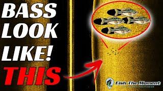 The Missing Link To Your Success With Side Imaging! | Fish Finder SideScan Instruction