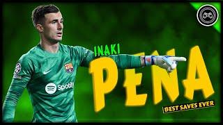 Iñaki Peña Sotorres ● Best Saves Ever | FHD