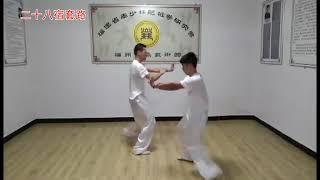 Fuzhou - Dragon Stake Boxing (龙桩拳) - Form: 28 Constellations / Ershibasu (二十八宿)