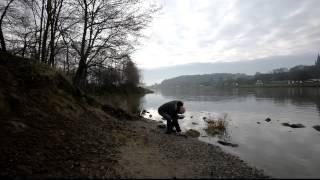 Stone picking