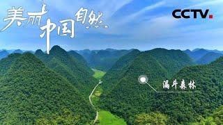 独树一帜的风景线！漏斗森林是喀斯特地貌作用于大地上的经典一笔 《美丽中国自然》贵州喀斯特系列【CCTV纪录】