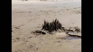 Drip sand castle by kirk Maxson