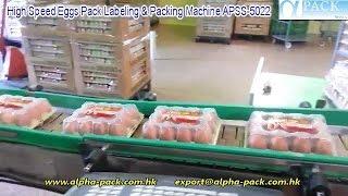 High Speed Eggs Pack Labeling & Packing Machine APSS-5022