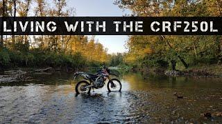 Honda CRF250L Long-term Review