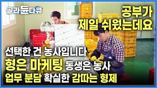 '부모님이 원했던 건 대기업이나 공무원' 하지만 우리는 감 농사에 뛰어들었다! 모두가 떠나가는 시골에서 펜 대신 감을 든 형제의 농부 되기 프로젝트 | #골라듄다큐