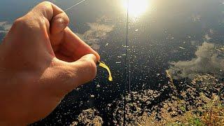 Super Nano Jigging Fishing, Mormyshka Fishing, Avizadrebis. Micro Lure Fishing