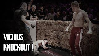 The MOST BRUTAL Bare-Knuckle Boxing TOP DOG 29 (HIGHLIGHTS)