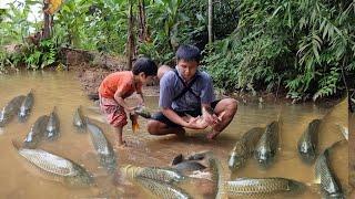 Single father and children meet giant school of fish, catch fish - cook with children