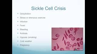 Pathology of Blood Disorders