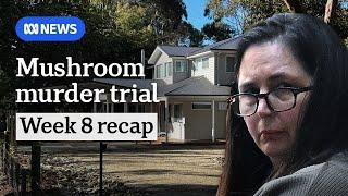 What happened at Erin Patterson's mushroom murder trial in week eight | ABC NEWS