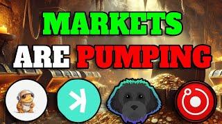 MARKET OVERVIEW: TURBO, KASPA, MYRO & MORE - ALTCOINS ARE SHOWING LIFE!