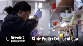 Study Poultry Science at the University of Georgia