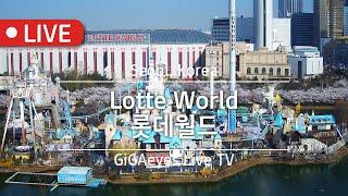 서울실시간 롯데월드라이브 Live Cam I "Lotte World", Seoul,Korea I 서울라이브 乐天世界 ロッテワールド롯데월드실시간 롯데월드혼잡도 SeoulLive