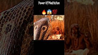 Power Of Meditation ‍️ ||Gautam Buddha Status #shorts #ytshorts #short #trending