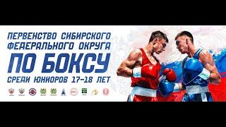 Первенство Сибирского Федерального округа по боксу среди юниоров 17-18 лет. Томск. День 2.