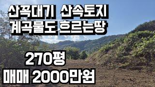 703번) 급매)산속입구 탁트인전망