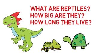 What are reptiles - Characteristics of reptiles - facts about reptiles for kids - Simply E-learn