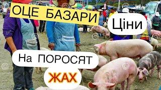 БАЗАРЦІНИ на ПОРОСЯТ, Попит