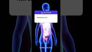 Question and Answer: Discover the Hidden Truths! #QuestionAndAnswer #MindBlowingFacts #Educational