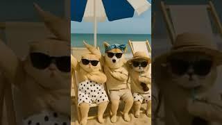 뭉냥 트리오 댄스로 힐링하세요 #고양이쇼츠 #댄스쇼츠#동물댄스ㅋㅋ Beach Dance Party with Cats and a Shiba! ️