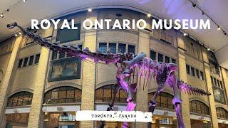 Inside the Royal Ontario Museum (ROM)  | WalterNei