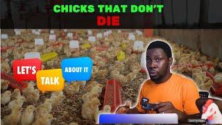 Chicks that Don't DIE