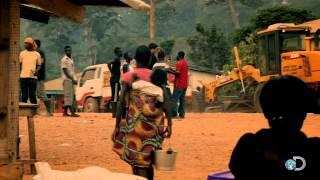 In Search of Help | Jungle Gold