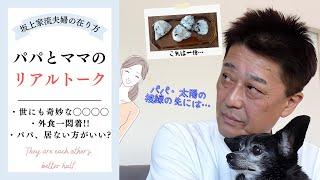 パパとママのリアルトーク～坂上家流夫婦の在り方～