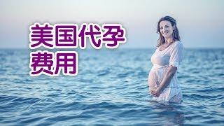 在美国代孕如何给代母支付费用？|代孕指南Surrogate Fee