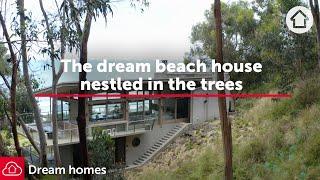 The dream beach house nestled in the trees | Realestate.com.au