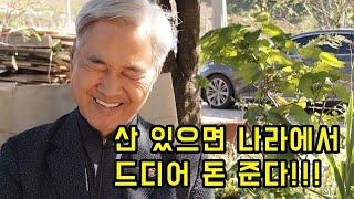 산 가지고 계신 산주분들 드디어 나라에서 돈 줍니다!!!!!