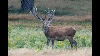 220240812 RetreatHogeVeluwe rev