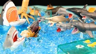 Scary Shark Toy  Jaws figure set