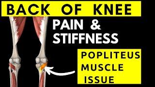 Back of knee pain/stiffness? Popliteus muscle tightness