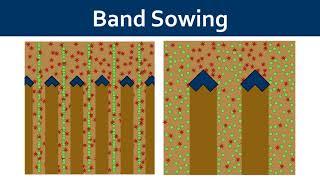 Band Sowing and Cultivation for Weed Management in Organic Grains