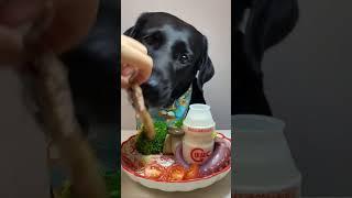 Yellow soft-boiled eggs! #Eating Broadcast##Labrador #Dog Daily Life##Pet Eating Broadcast