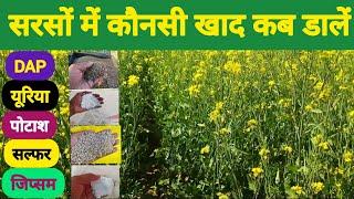 Which fertilizer to apply in mustard crop, when to apply it//DAP & Urea fertilizers in Mustard crop