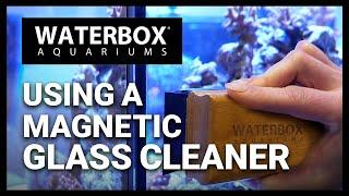 How to use and maintain the Waterbox Aquariums® Magnetic Aquarium Glass Cleaners