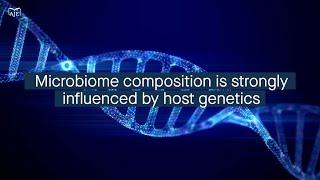 Genetics have a stronger effect on microbiome composition than the maternal microbiome