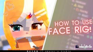 【Tutorial】Step by step teach you to use PixelAnime Face Rig! | Mineimator RIG