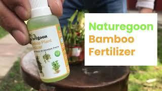 Lucky Bamboo Plant Food I Naturegoon I #bamboo #bambooplant #plantfood