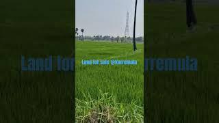 LAND FOR SALE AT KORREMULA | INVESTMENT | ORR GHATKESAR #landforsale #shorts #viralshorts