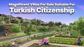 Magnificent Villas for Sale Suitable for Turkish Citizenship M472