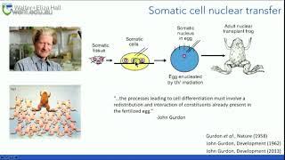 Keniry A (2018): Resetting the epigenome for pluripotency