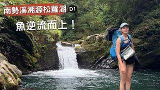 南勢溪溯源松蘿湖D1｜進入台灣的亞馬遜河、看見魚逆流而上！
