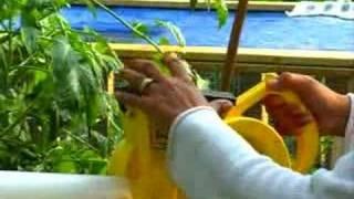 Garden Girl TV: Natural Insect Control with Diatomaceous Earth