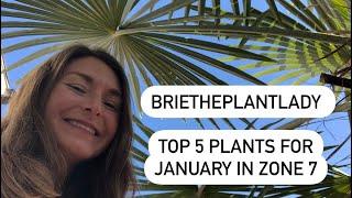 Top 5 plants for January in Zone 7