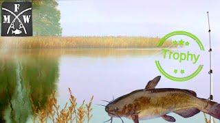 Trophy Brown Bullhead Spot | Amazing XP | Wabakimi Lake | My Fishing World